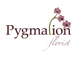 Logo10